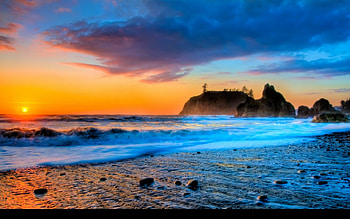 Ultra , flower | Nothing found for Tropical Beach Ultra | ÐÐ¾Ð¶ÑÐµ ÑÐ²Ð¾ÑÐµÐ½Ð¸Ðµ | Pinterest | Tropical beaches and Beach ... HD wallpaper